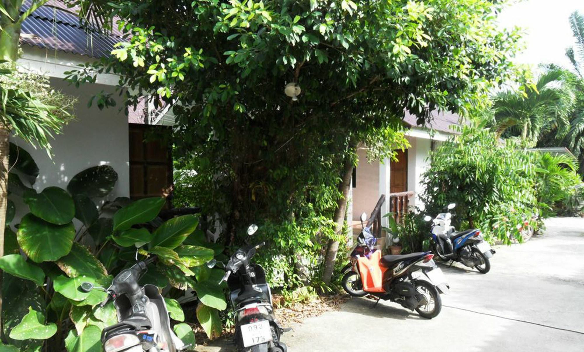 Aonang Sr Bungalows Ao Nang エクステリア 写真